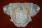 All You Need to Know about Pampers (With New Design)