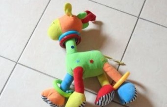 Kitty has Been Learning how to Pray…