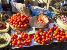 Why are Tomatoes in Nairobi Selling so Expensively Lately?