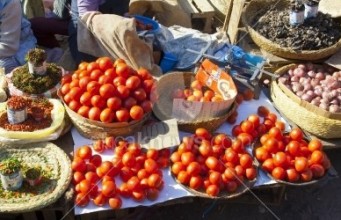 Why are Tomatoes in Nairobi Selling so Expensively Lately?