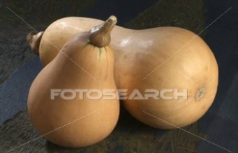 Who Knew What a ‘Butternut’ Is?