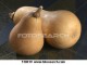 Who Knew What a ‘Butternut’ Is?
